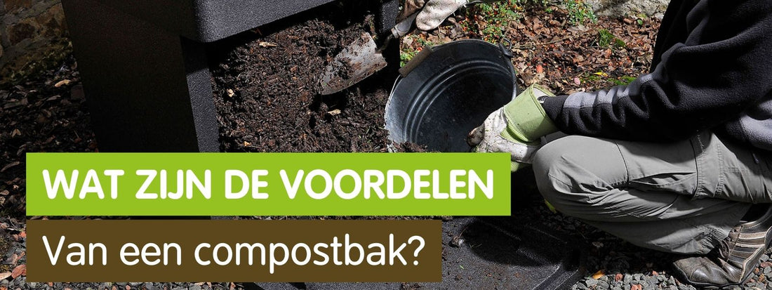 Wat zijn de voordelen van een compostbak?