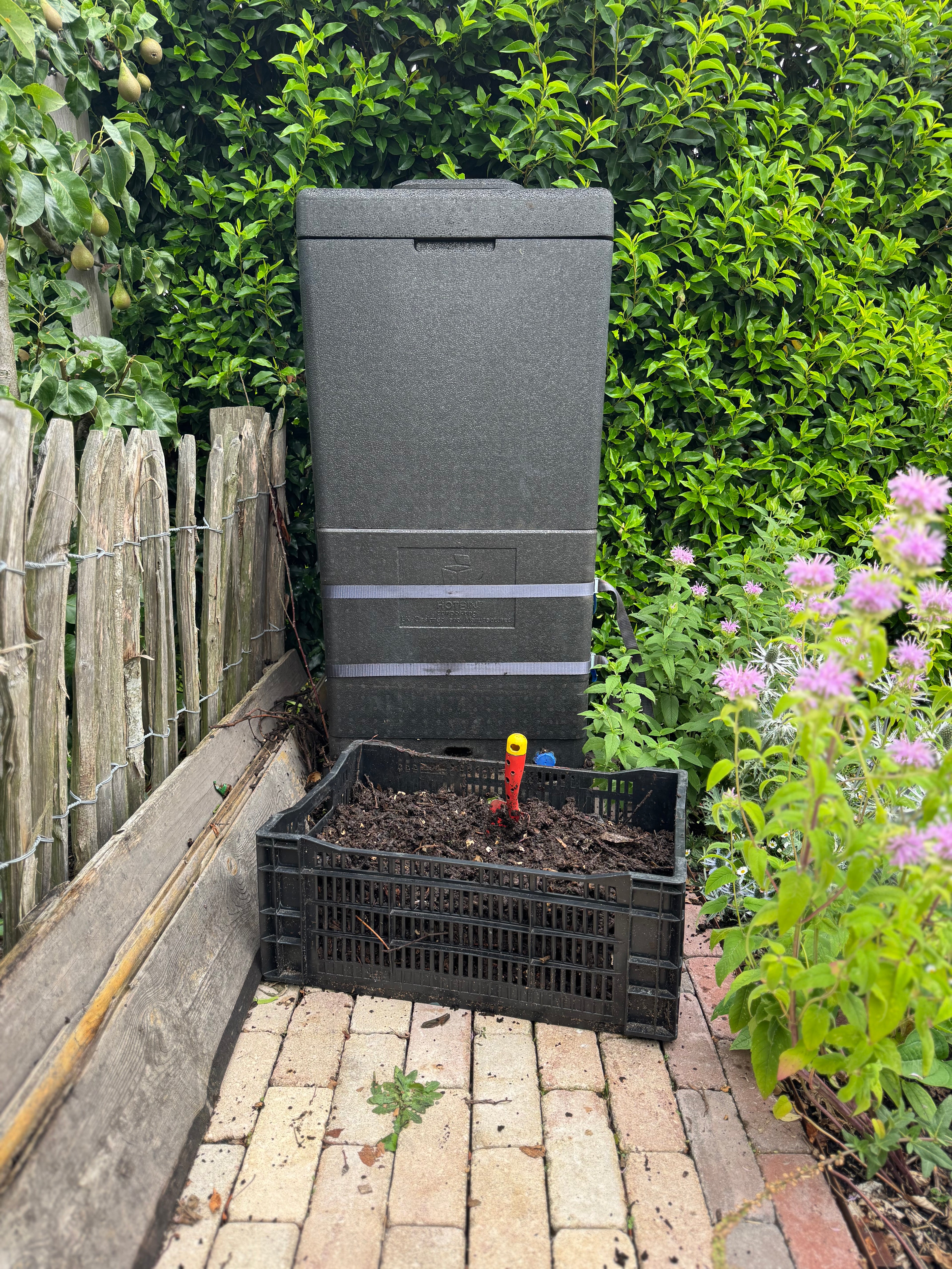 Loestuin HOTBIN compost oogst